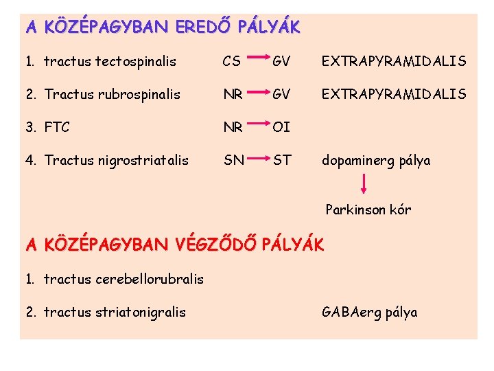 A KÖZÉPAGYBAN EREDŐ PÁLYÁK 1. tractus tectospinalis CS GV EXTRAPYRAMIDALIS 2. Tractus rubrospinalis NR