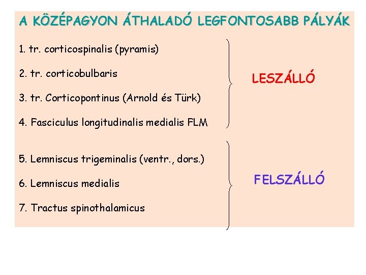 A KÖZÉPAGYON ÁTHALADÓ LEGFONTOSABB PÁLYÁK 1. tr. corticospinalis (pyramis) 2. tr. corticobulbaris LESZÁLLÓ 3.