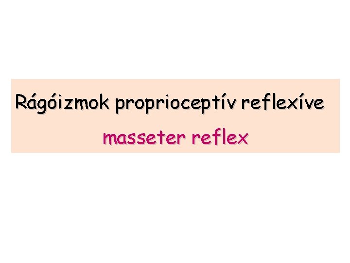 Rágóizmok proprioceptív reflexíve masseter reflex 