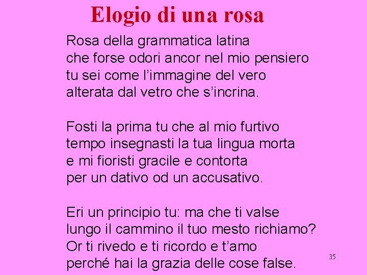 Elogio di una rosa Rosa della grammatica latina che forse odori ancor nel mio