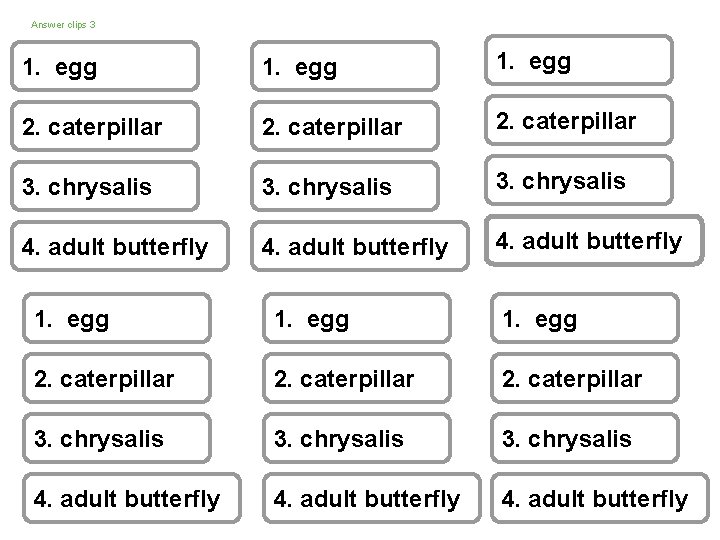 Answer clips 3 1. egg 2. caterpillar 3. chrysalis 4. adult butterfly 