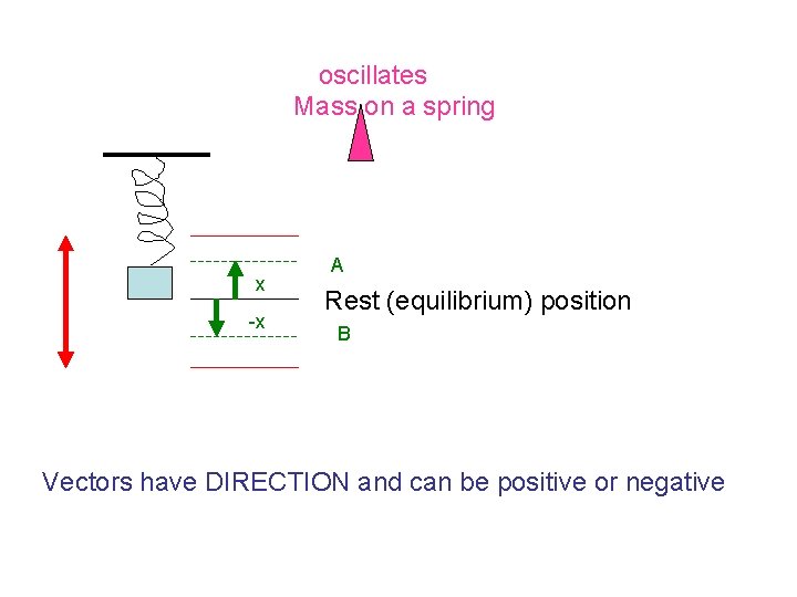 oscillates Mass on a spring x -x A Rest (equilibrium) position B Vectors have