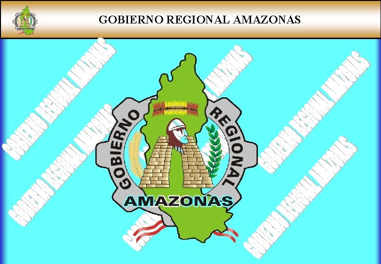 GOBIERNO REGIONAL AMAZONAS 