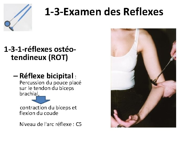 1 -3 -Examen des Reflexes 1 -3 -1 -réflexes ostéotendineux (ROT) – Réflexe bicipital