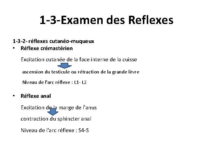 1 -3 -Examen des Reflexes 1 -3 -2 - réflexes cutanéo-muqueux • Réflexe crémastérien