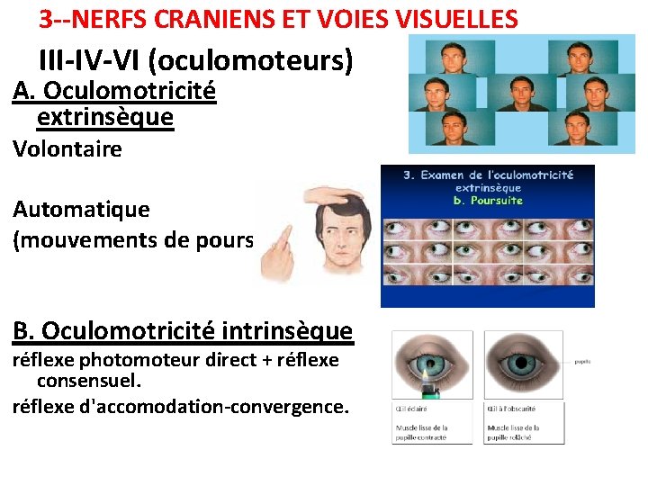 3 --NERFS CRANIENS ET VOIES VISUELLES III-IV-VI (oculomoteurs) A. Oculomotricité extrinsèque Volontaire Automatique (mouvements