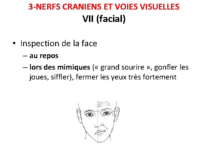 3 -NERFS CRANIENS ET VOIES VISUELLES VII (facial) • Inspection de la face –