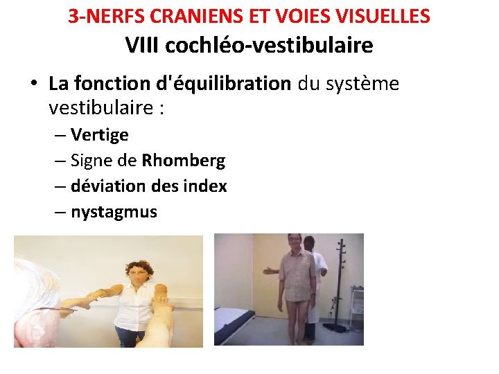 3 -NERFS CRANIENS ET VOIES VISUELLES VIII cochléo-vestibulaire • La fonction d'équilibration du système