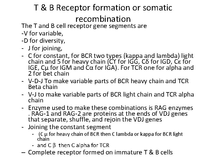 T & B Receptor formation or somatic recombination The T and B cell receptor