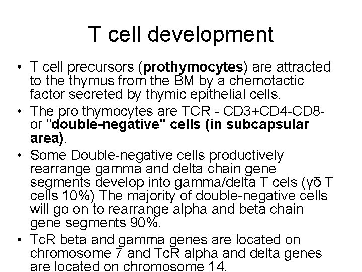 T cell development • T cell precursors (prothymocytes) are attracted to the thymus from