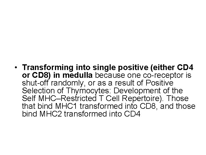  • Transforming into single positive (either CD 4 or CD 8) in medulla