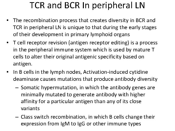 TCR and BCR In peripheral LN • The recombination process that creates diversity in