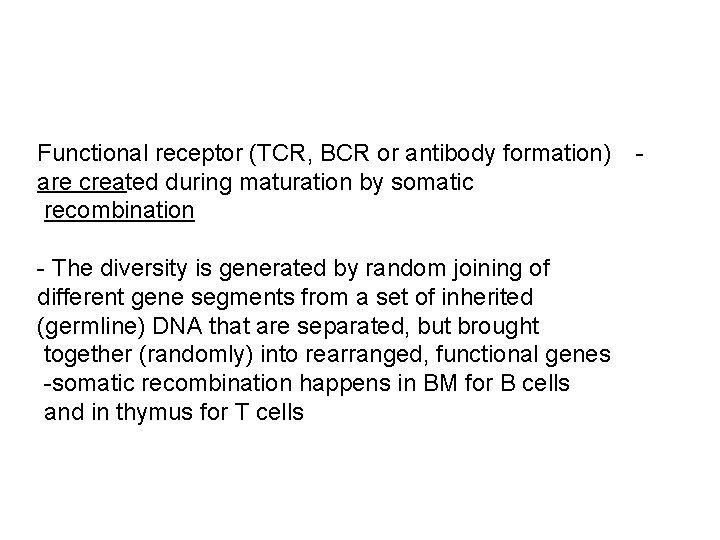 Functional receptor (TCR, BCR or antibody formation) are created during maturation by somatic recombination