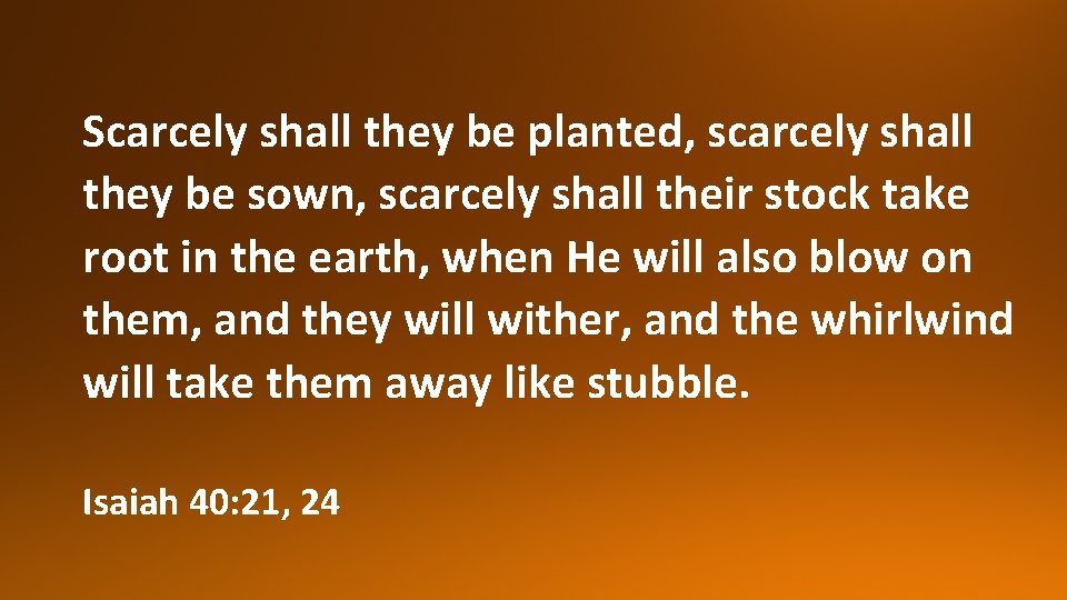 Scarcely shall they be planted, scarcely shall they be sown, scarcely shall their stock