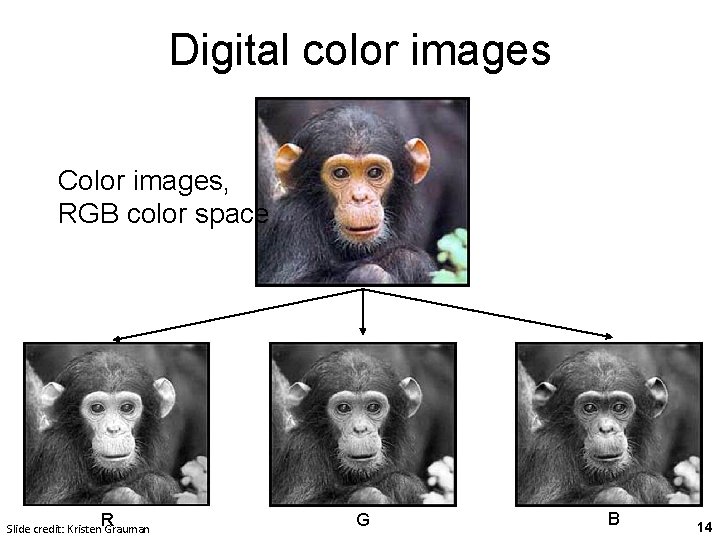 Digital color images Color images, RGB color space R Slide credit: Kristen Grauman G Digital color images Color images, RGB color space R Slide credit: Kristen Grauman G