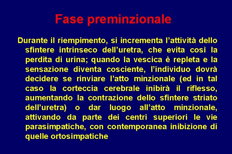 Fase preminzionale Durante il riempimento, si incrementa l’attività dello sfintere intrinseco dell’uretra, che evita