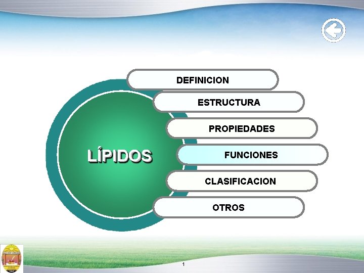 DEFINICION ESTRUCTURA PROPIEDADES LÍPIDOS FUNCIONES CLASIFICACION OTROS 1 