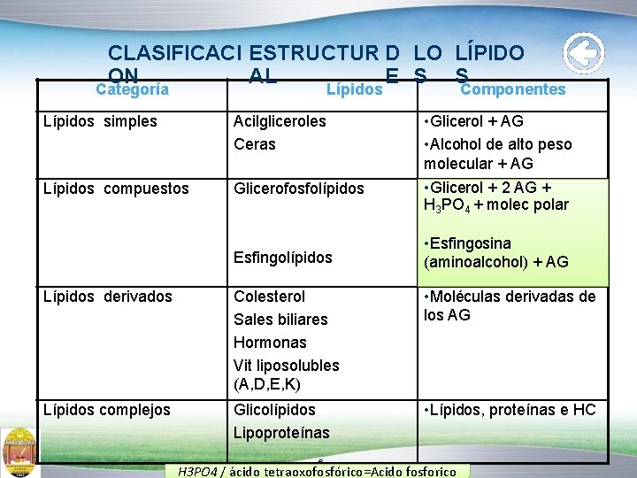 CLASIFICACI ESTRUCTUR D LO LÍPIDO ON AL E S S Categoría Lípidos simples Acilgliceroles