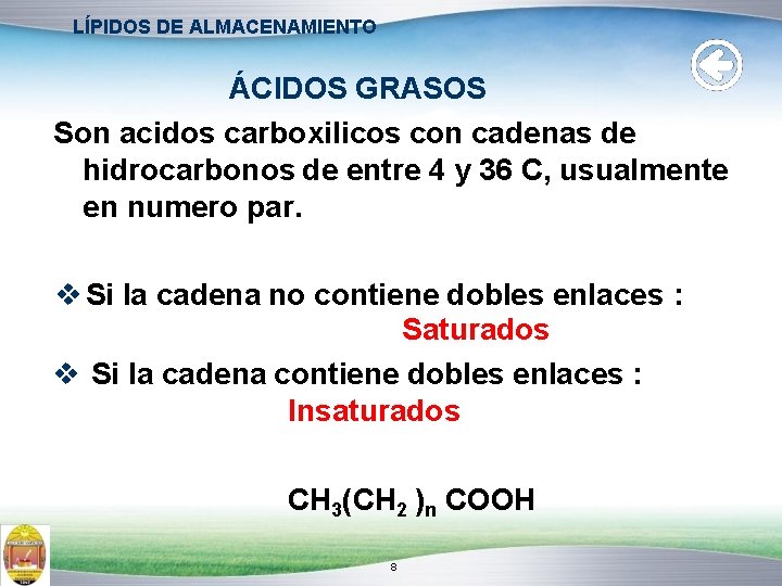 LÍPIDOS DE ALMACENAMIENTO ÁCIDOS GRASOS Son acidos carboxilicos con cadenas de hidrocarbonos de entre