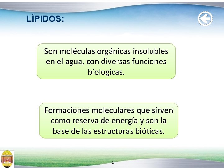 LÍPIDOS: Son moléculas orgánicas insolubles en el agua, con diversas funciones biologicas. Formaciones moleculares