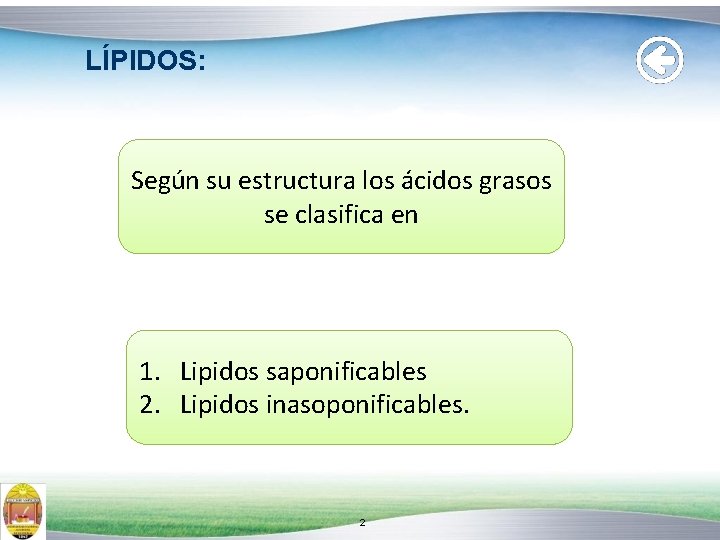 LÍPIDOS: Según su estructura los ácidos grasos se clasifica en 1. Lipidos saponificables 2.