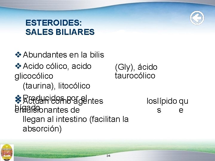 ESTEROIDES: SALES BILIARES Abundantes en la bilis Acido cólico, acido (Gly), ácido taurocólico glicocólico