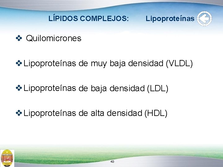 LÍPIDOS COMPLEJOS: Lipoproteínas Quilomicrones Lipoproteínas de muy baja densidad (VLDL) Lipoproteínas de baja densidad