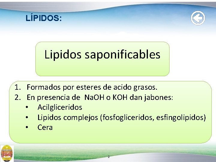 LÍPIDOS: Lipidos saponificables 1. Formados por esteres de acido grasos. 2. En presencia de