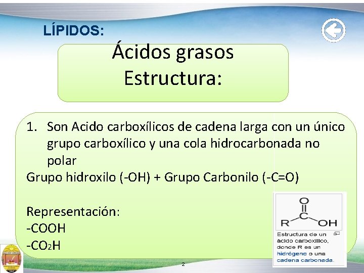 LÍPIDOS: Ácidos grasos Estructura: 1. Son Acido carboxílicos de cadena larga con un único