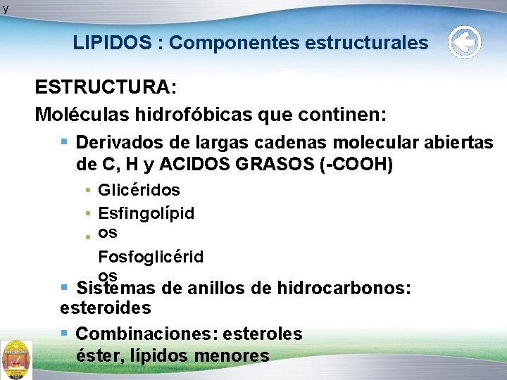 y LIPIDOS : Componentes estructurales ESTRUCTURA: Moléculas hidrofóbicas que continen: Derivados de largas cadenas