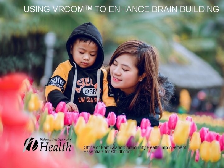 USING VROOMTM TO ENHANCE BRAIN BUILDING Office of Family and Community Health Improvement Essentials