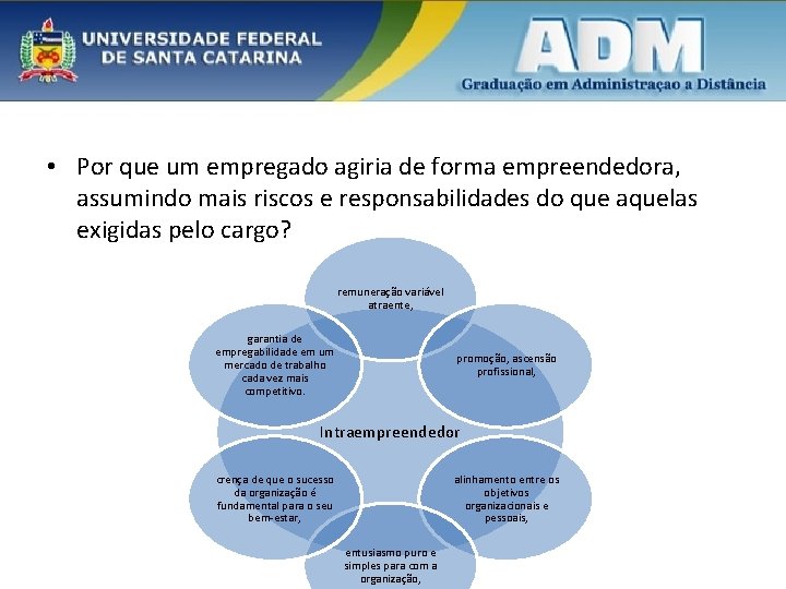  • Por que um empregado agiria de forma empreendedora, assumindo mais riscos e