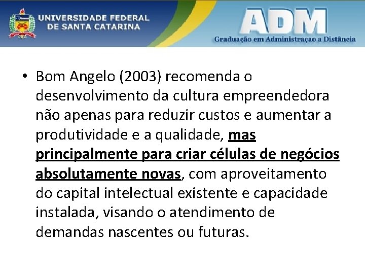  • Bom Angelo (2003) recomenda o desenvolvimento da cultura empreendedora não apenas para