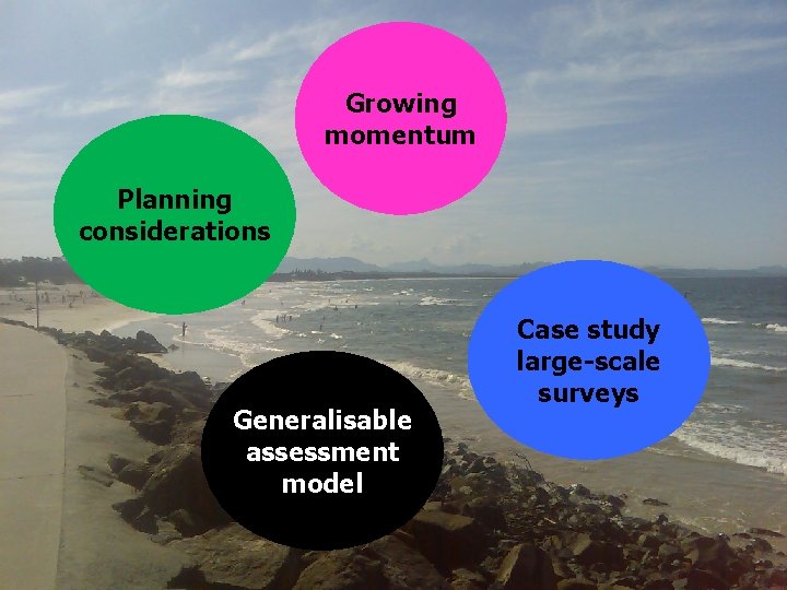Growing momentum Planning considerations Generalisable assessment model Case study large-scale surveys 