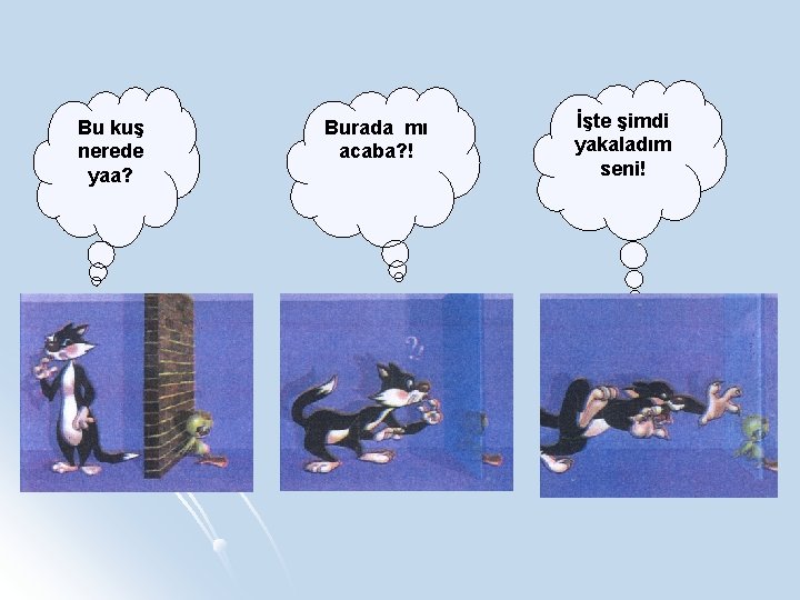 Bu kuş nerede yaa? Burada mı acaba? ! İşte şimdi yakaladım seni! 