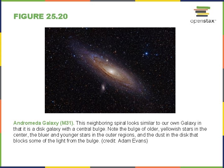 FIGURE 25. 20 Andromeda Galaxy (M 31). This neighboring spiral looks similar to our
