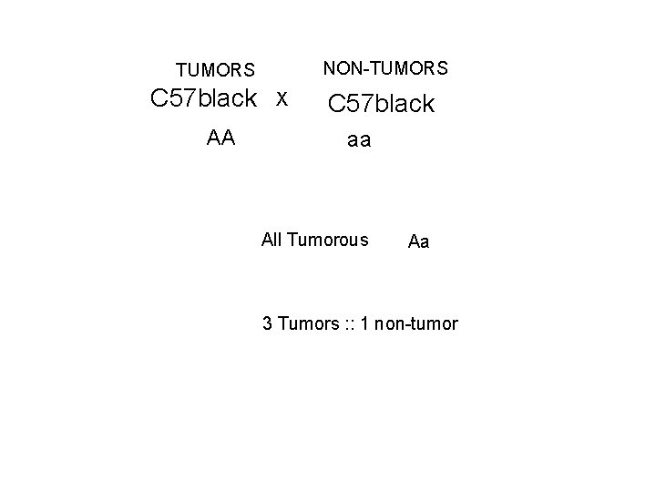 NON-TUMORS C 57 black AA X C 57 black aa All Tumorous Aa 3