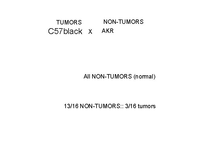 NON-TUMORS C 57 black X AKR All NON-TUMORS (normal) 13/16 NON-TUMORS: : 3/16 tumors