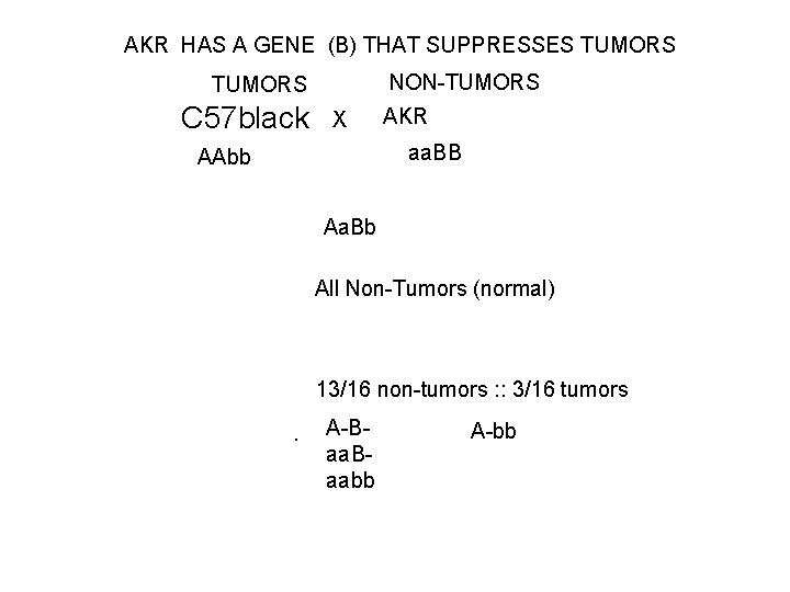 AKR HAS A GENE (B) THAT SUPPRESSES TUMORS NON-TUMORS C 57 black X AKR