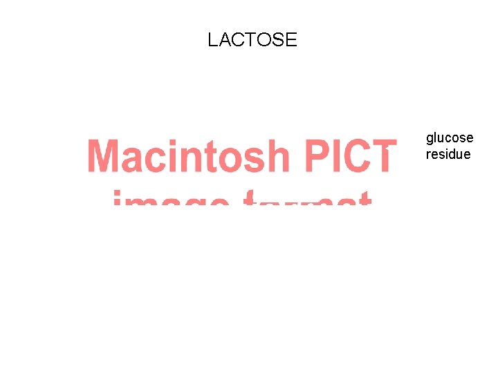 LACTOSE glucose residue CANDIDATE GENE 