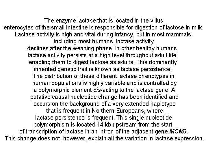 The enzyme lactase that is located in the villus enterocytes of the small intestine