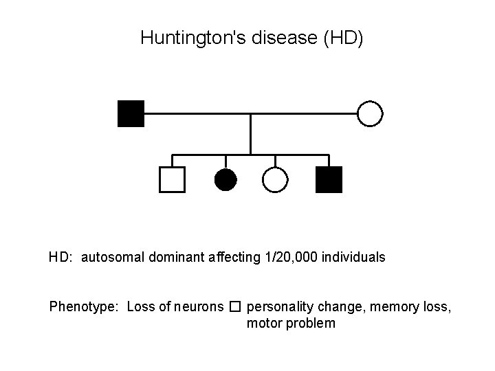 Huntington's disease (HD) HD: autosomal dominant affecting 1/20, 000 individuals Phenotype: Loss of neurons