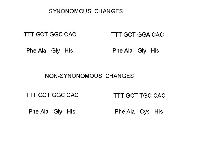 SYNONOMOUS CHANGES TTT GCT GGC CAC TTT GCT GGA CAC Phe Ala Gly His