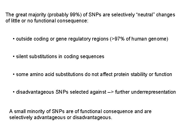 The great majority (probably 99%) of SNPs are selectively “neutral” changes of little or