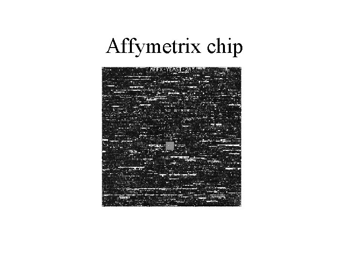 Affymetrix chip 