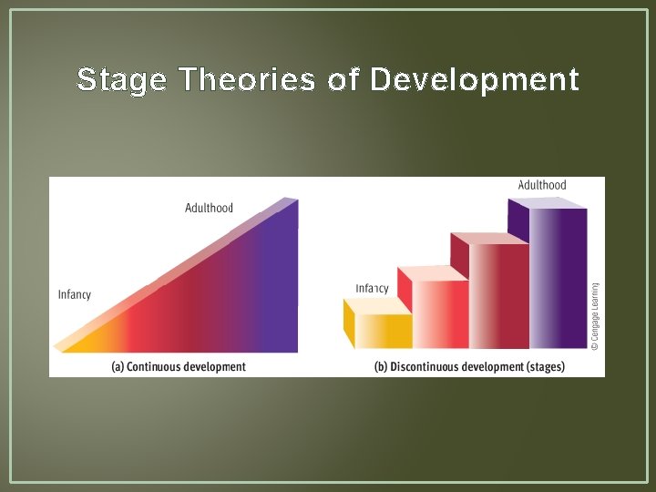 Stage Theories of Development 