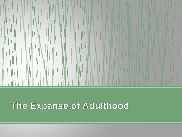 The Expanse of Adulthood 