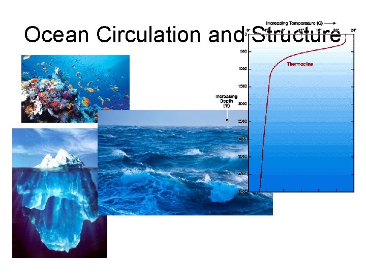 Ocean Circulation and Structure 