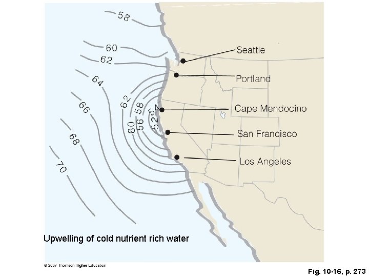 Upwelling of cold nutrient rich water Fig. 10 -16, p. 273 