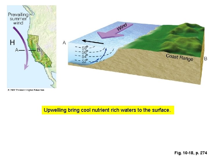 Upwelling bring cool nutrient rich waters to the surface. Fig. 10 -18, p. 274
